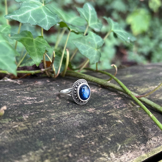 Bague Kwenthrith Kyanite - Plaqué argent