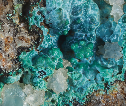 Chrysocolle