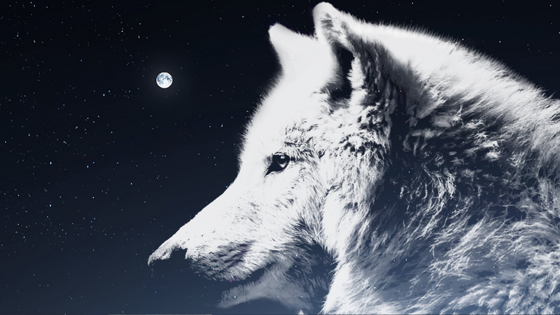 Pleine lune de Janvier - Lune du Loup