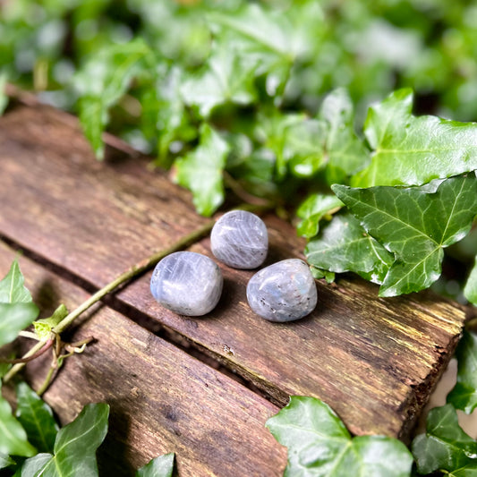 Pierre roulée Labradorite - 20 à 40mm