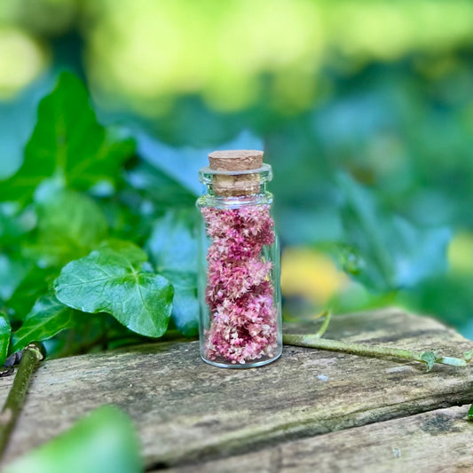 Fiole d’Amarante / Herbal Witch Bottle