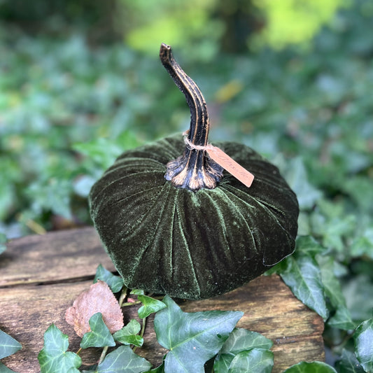 Citrouille de Samhain en velours - Vert