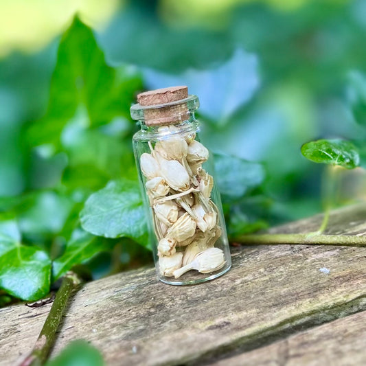 Fiole de Jasmin / Herbal Witch Bottle