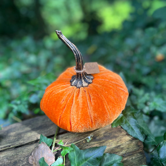 Citrouille de Samhain en velours - Orange