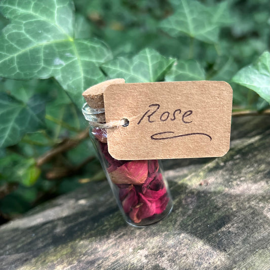 Fiole de Rose séchée / Amour - Guérison - Nature