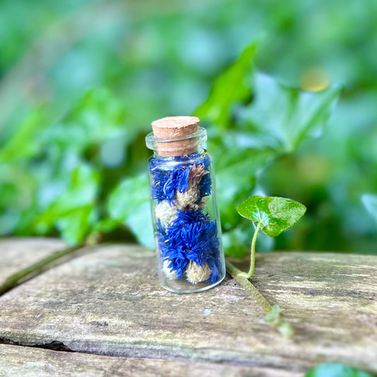 Fiole de Bleuet / Herbal Witch Bottle