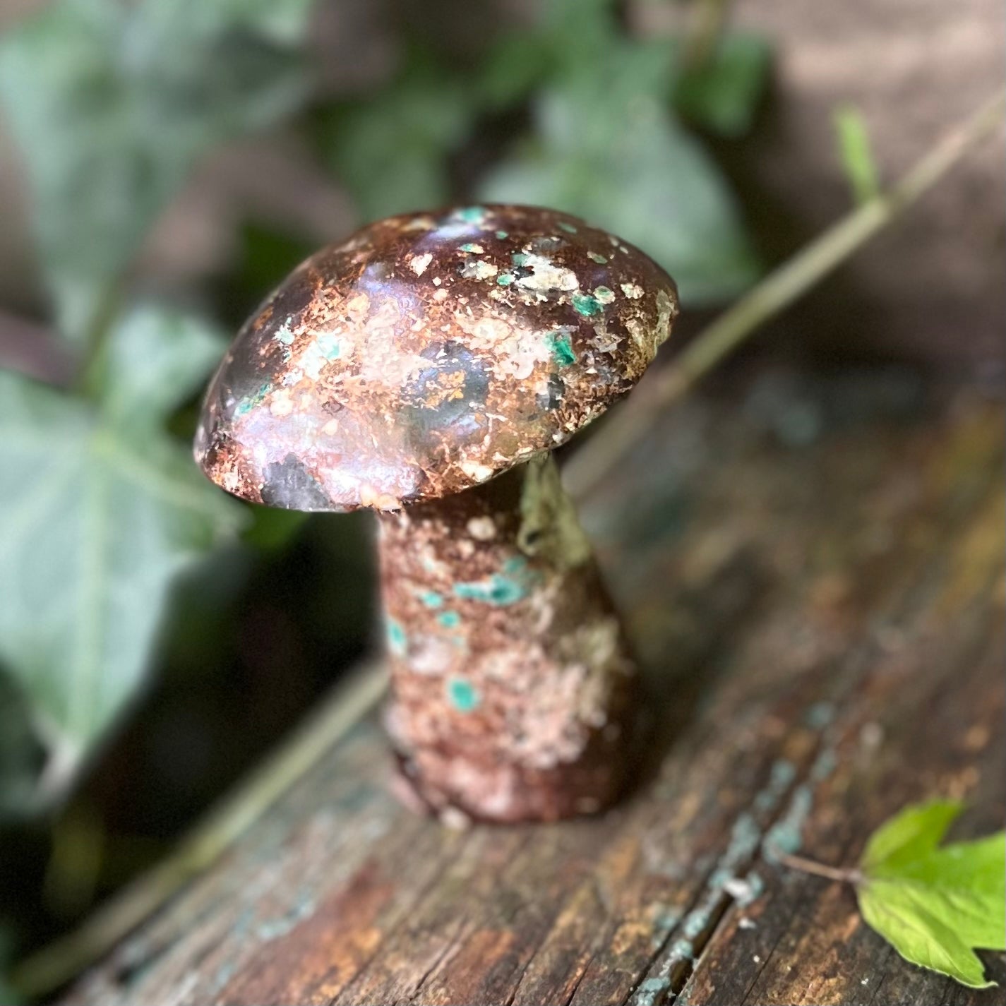 Champignon Chrysocolle - 190g