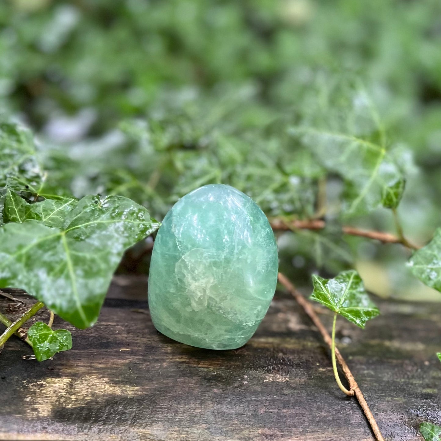 Forme libre Fluorite verte - 295g