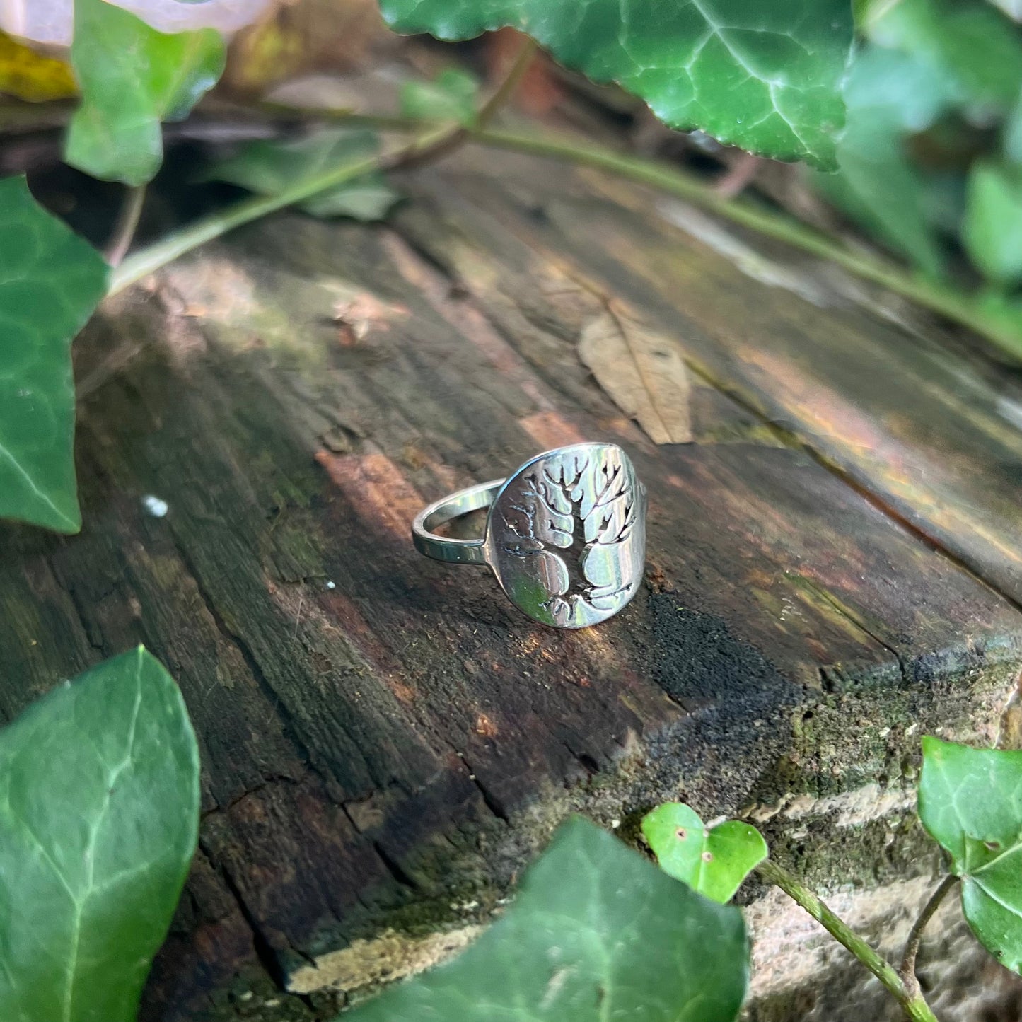 Bague Arbre de vie - acier inoxydable argenté